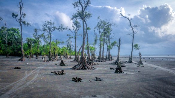 লেবুর চর কুয়াকাটা বেলাভূমি ট্যুরিজম